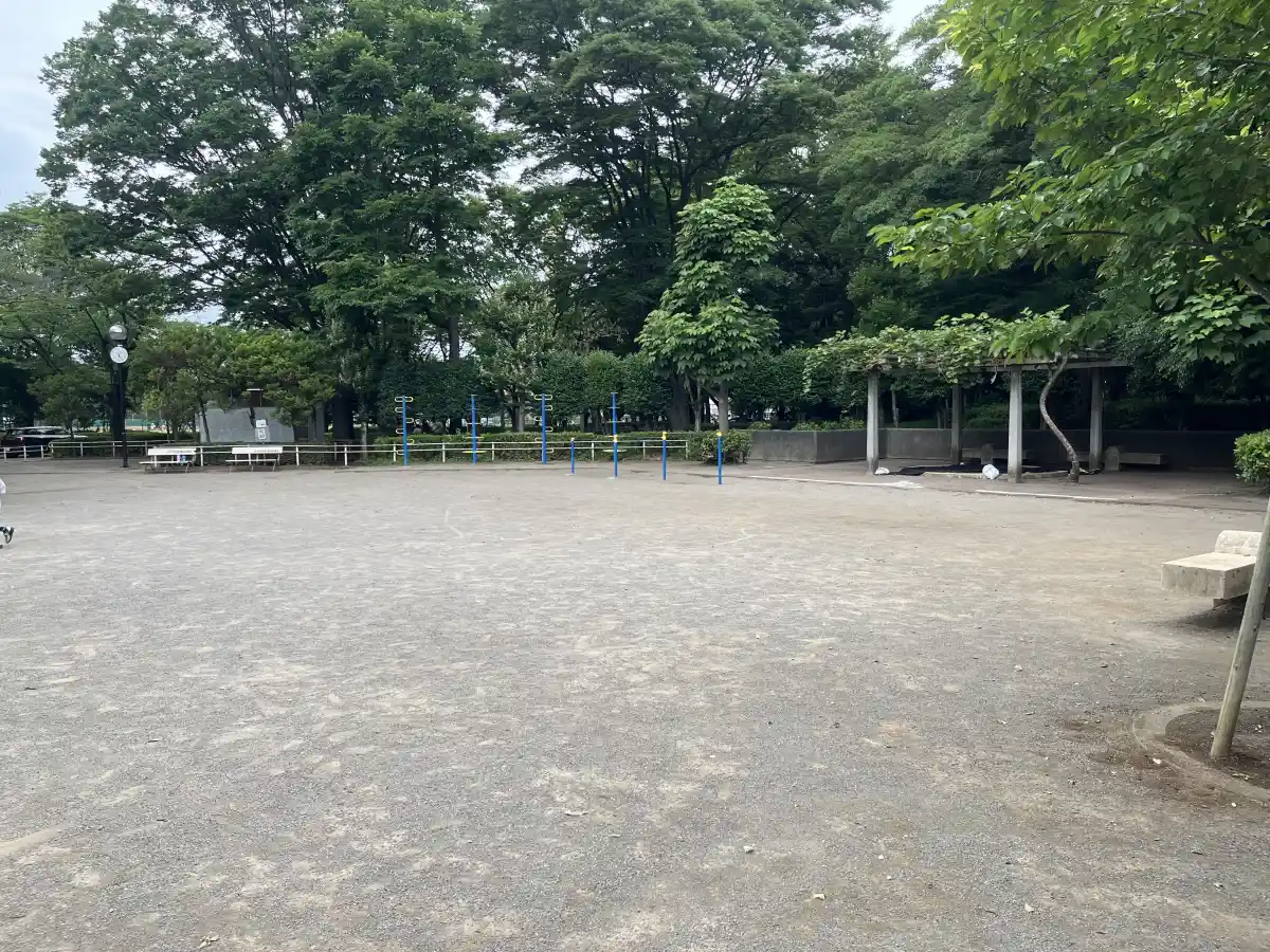 東部スポーツパークの広場