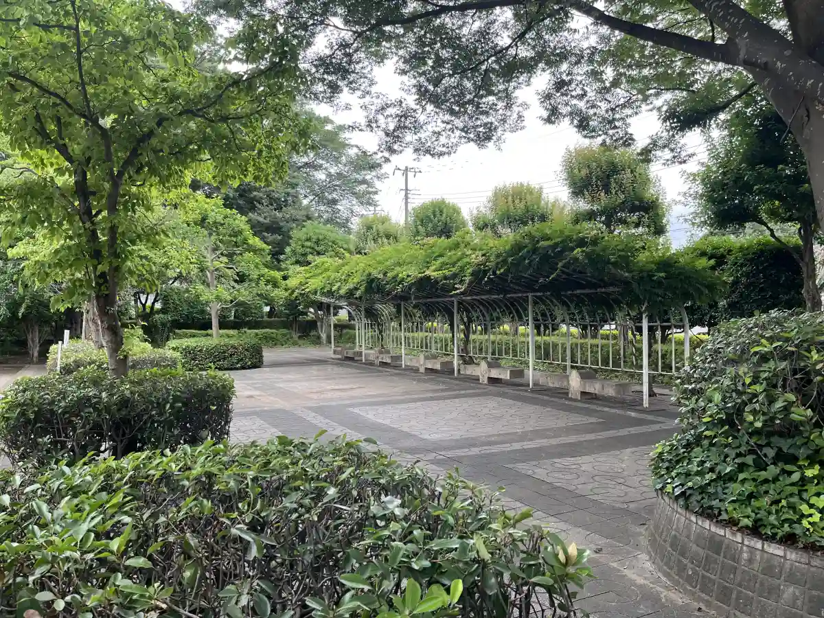 東部スポーツパークの園路
