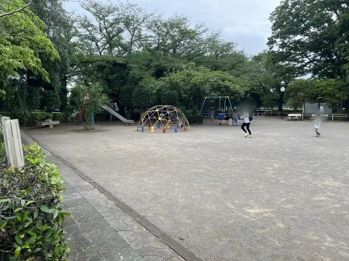 東部スポーツパークの遊具エリア全体