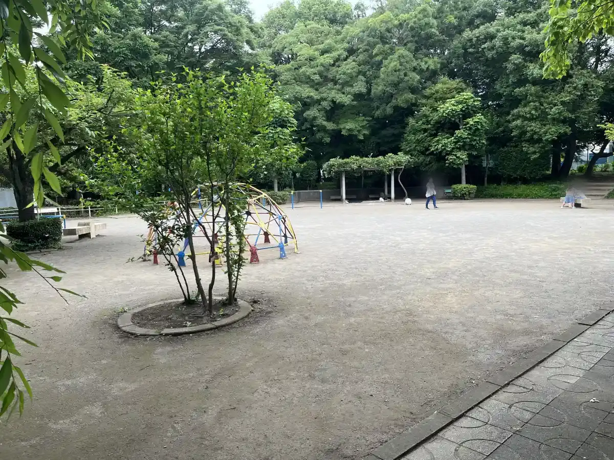 東部スポーツパークの遊具まわりの広場