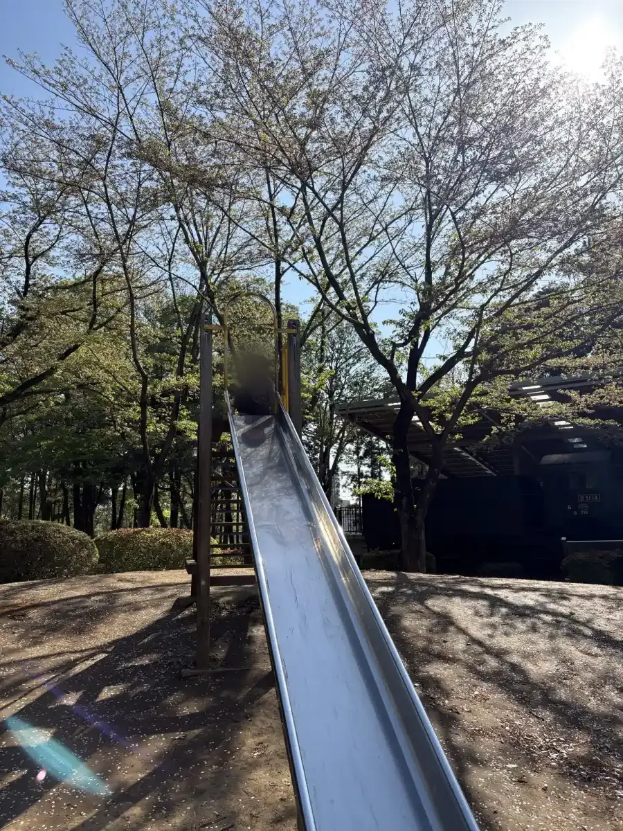 滑り台で遊ぶ子どもの様子