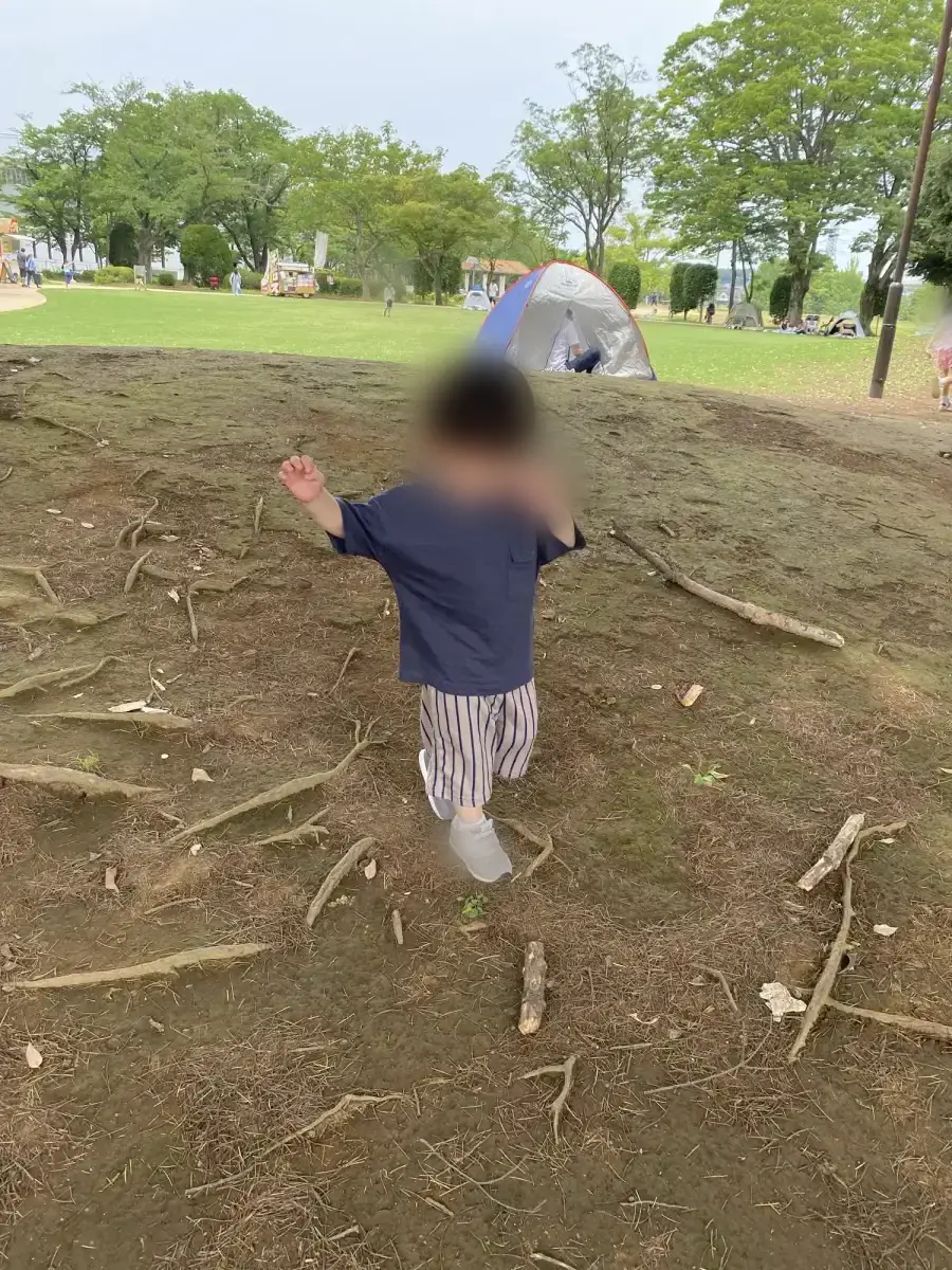木の根の近くを歩く子どもの様子