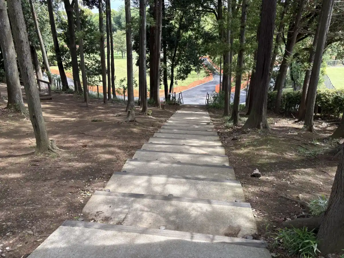 ローラースポーツ広場へつながる道