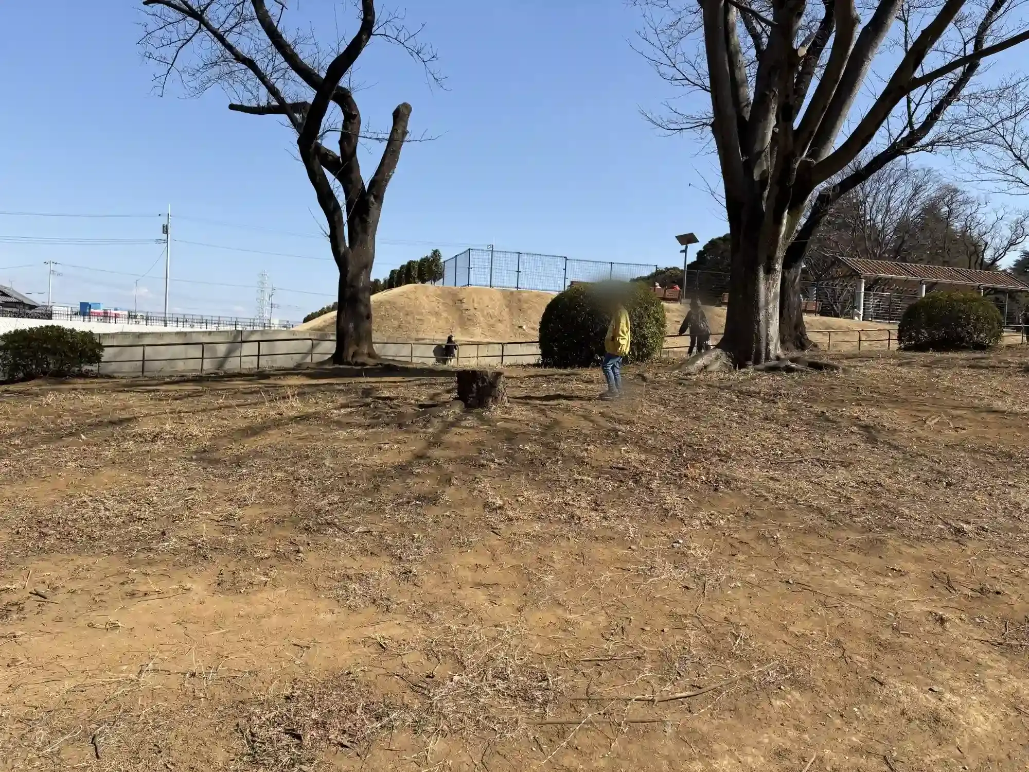 公園の坂道で遊ぶ子ども