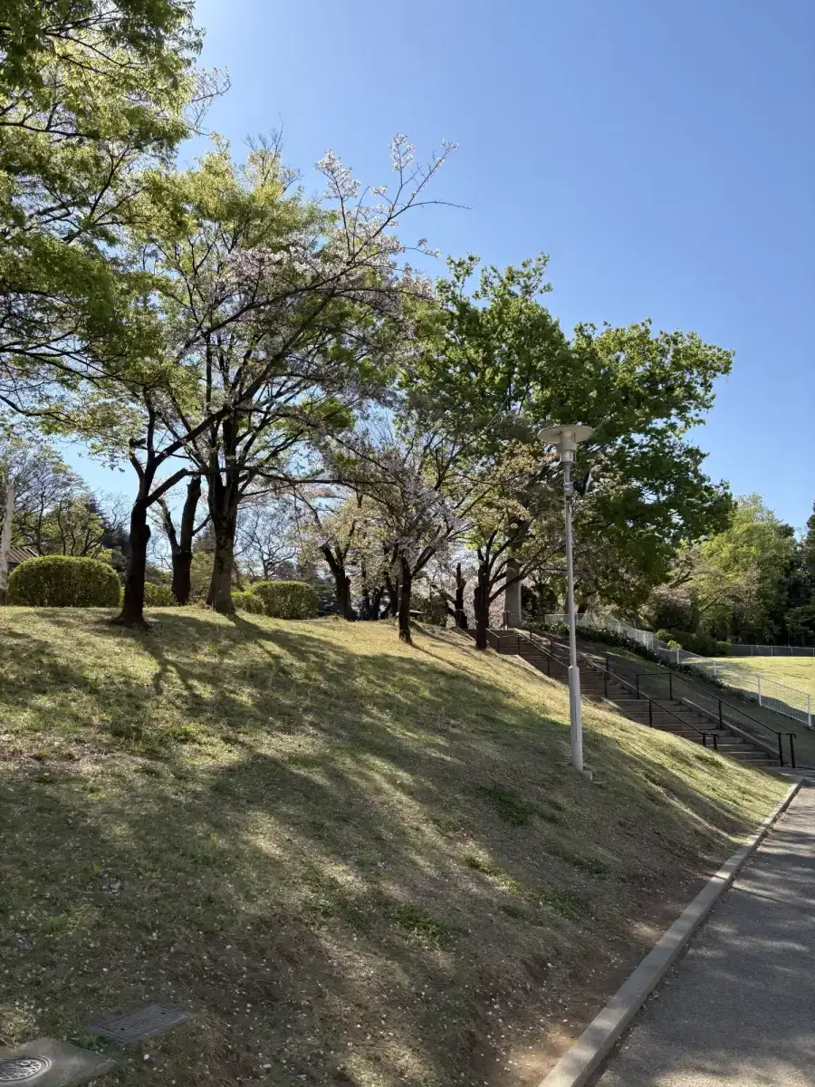 公園へ続く木陰の坂道