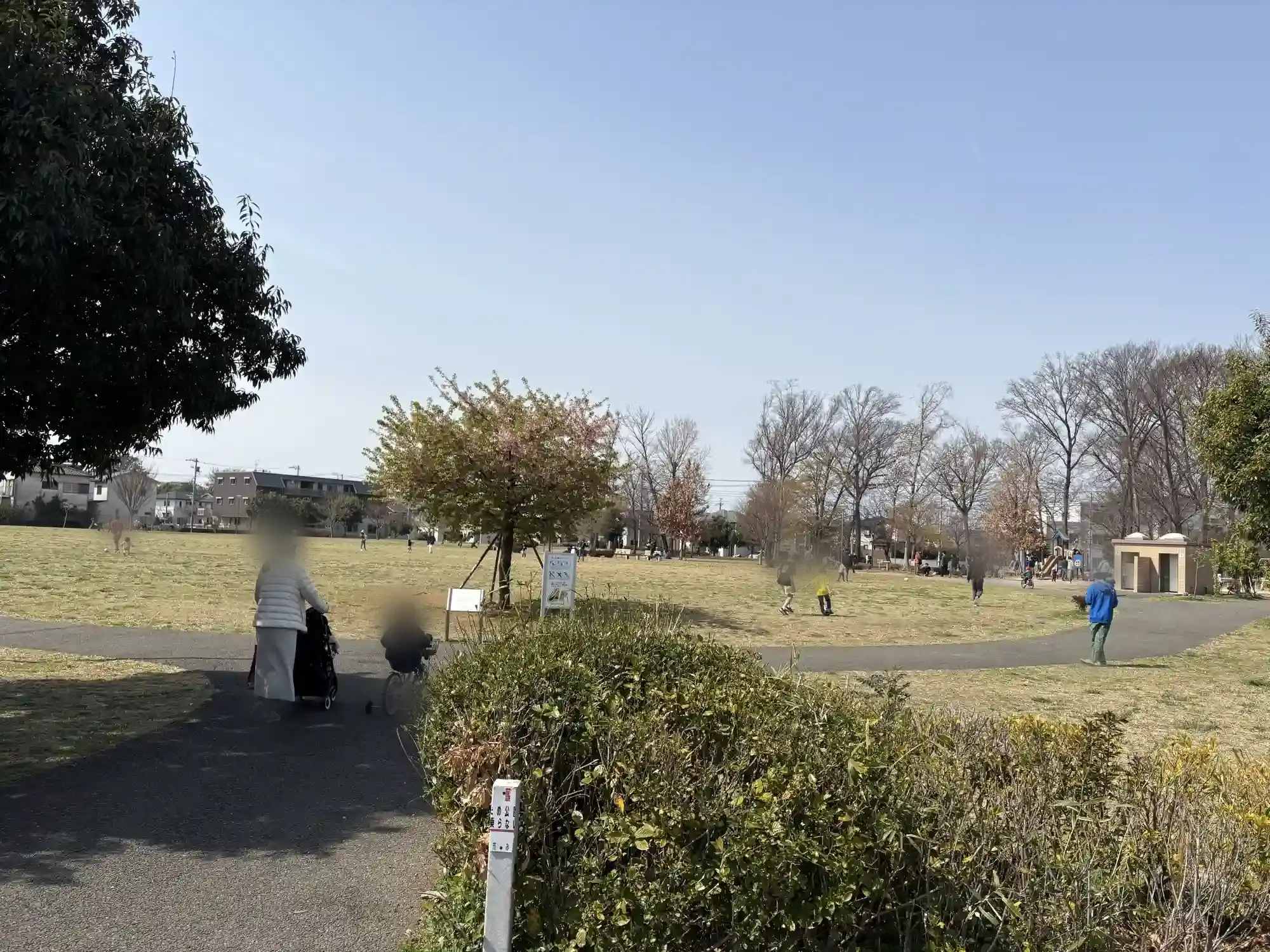 柏の葉駅方面入口から見た公園全体