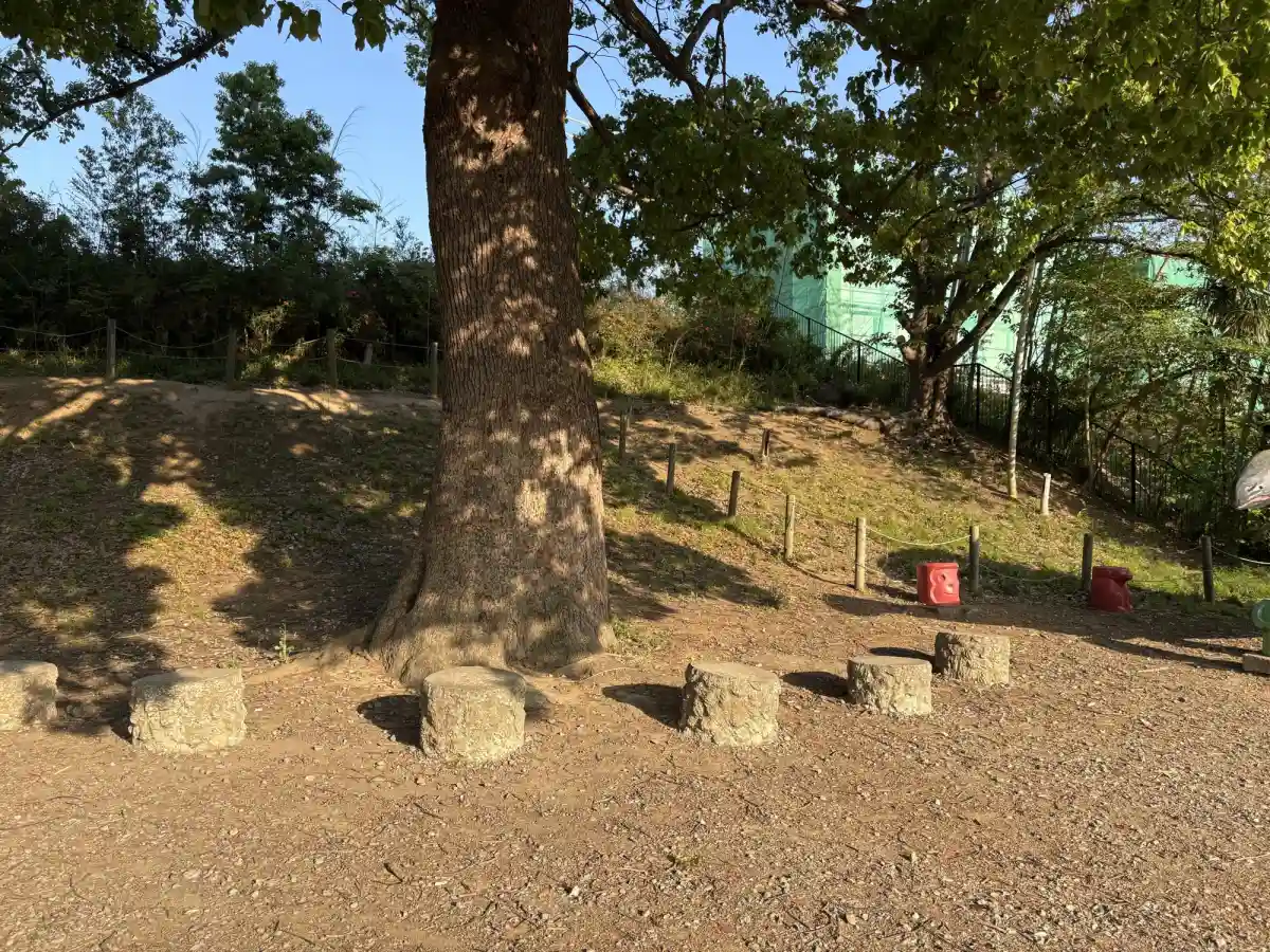 ベンチ
