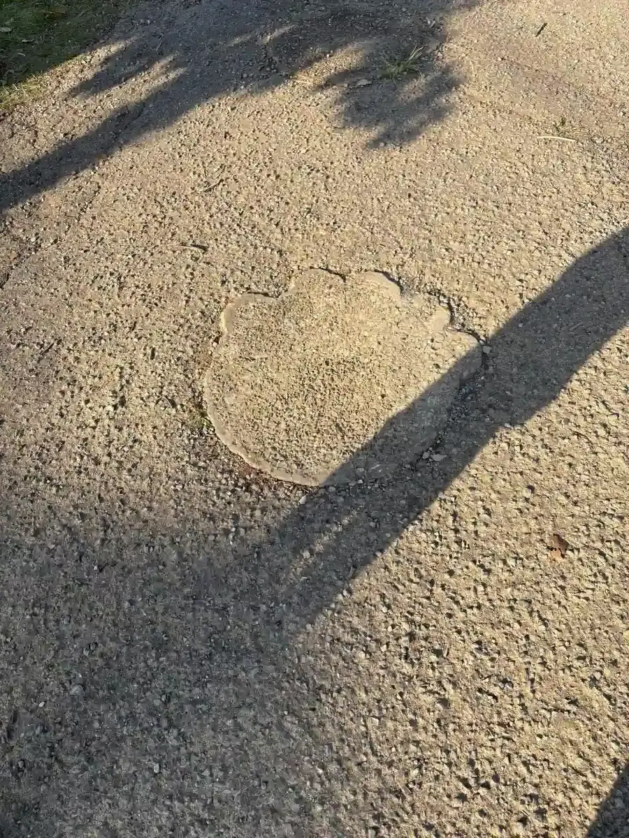 恐竜の足跡