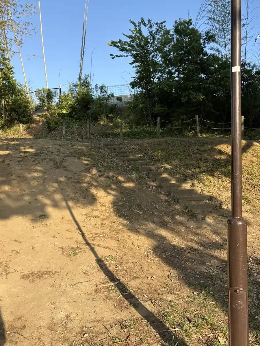 園内の階段