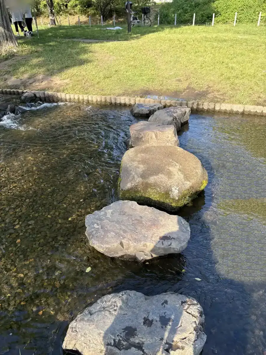小川のステップ石