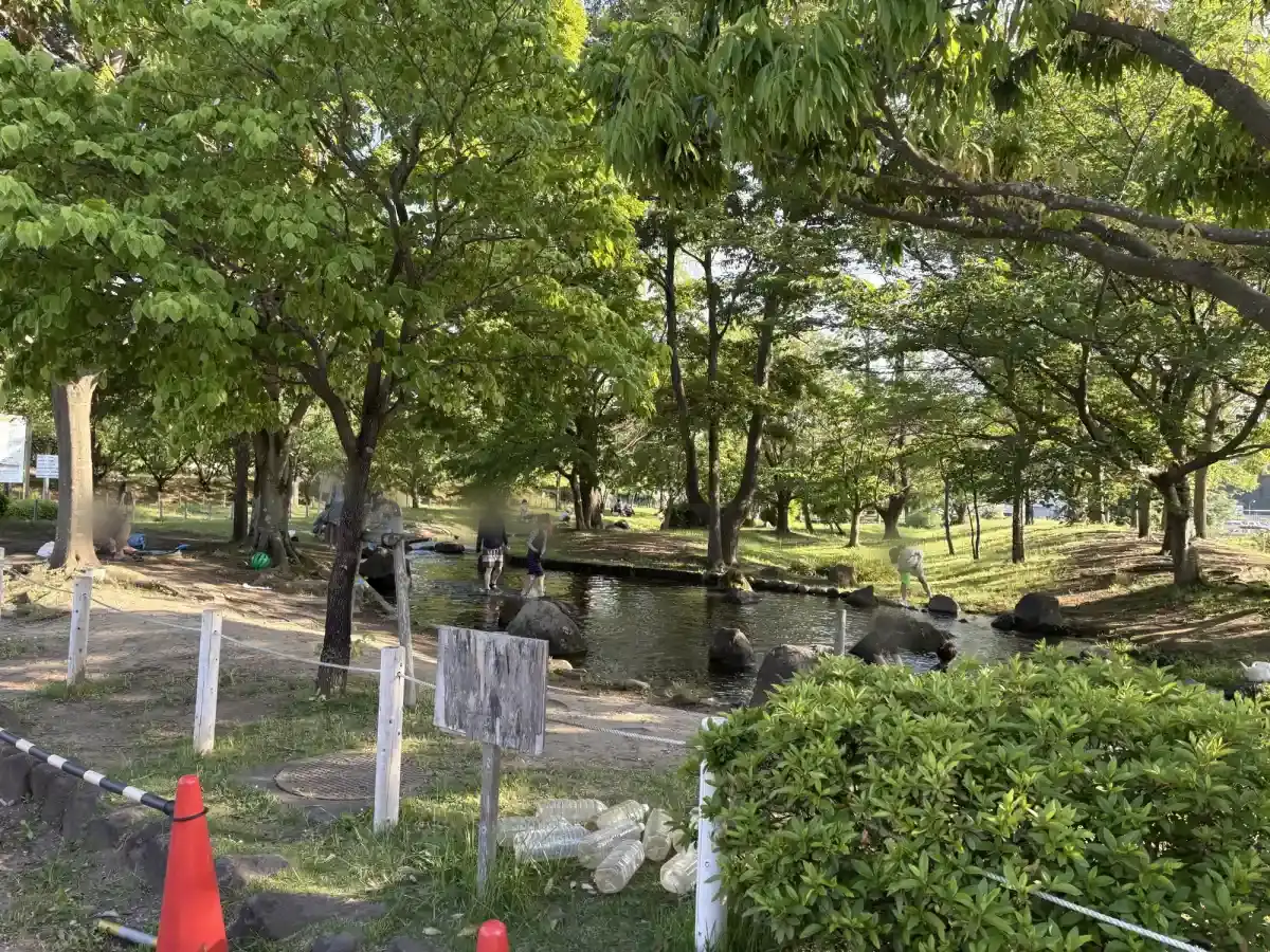 入口近くから見た小川