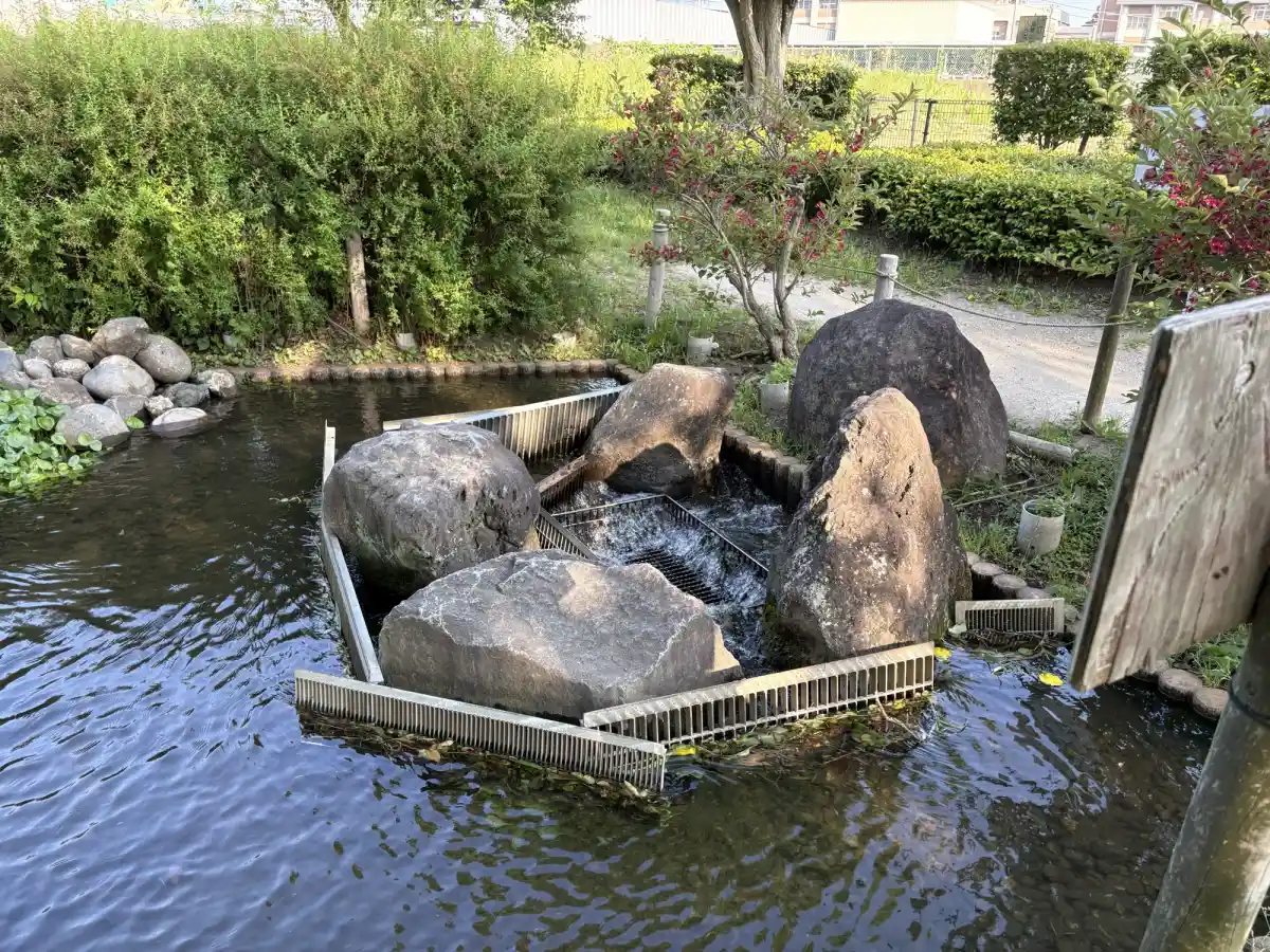 水が流れていく様子