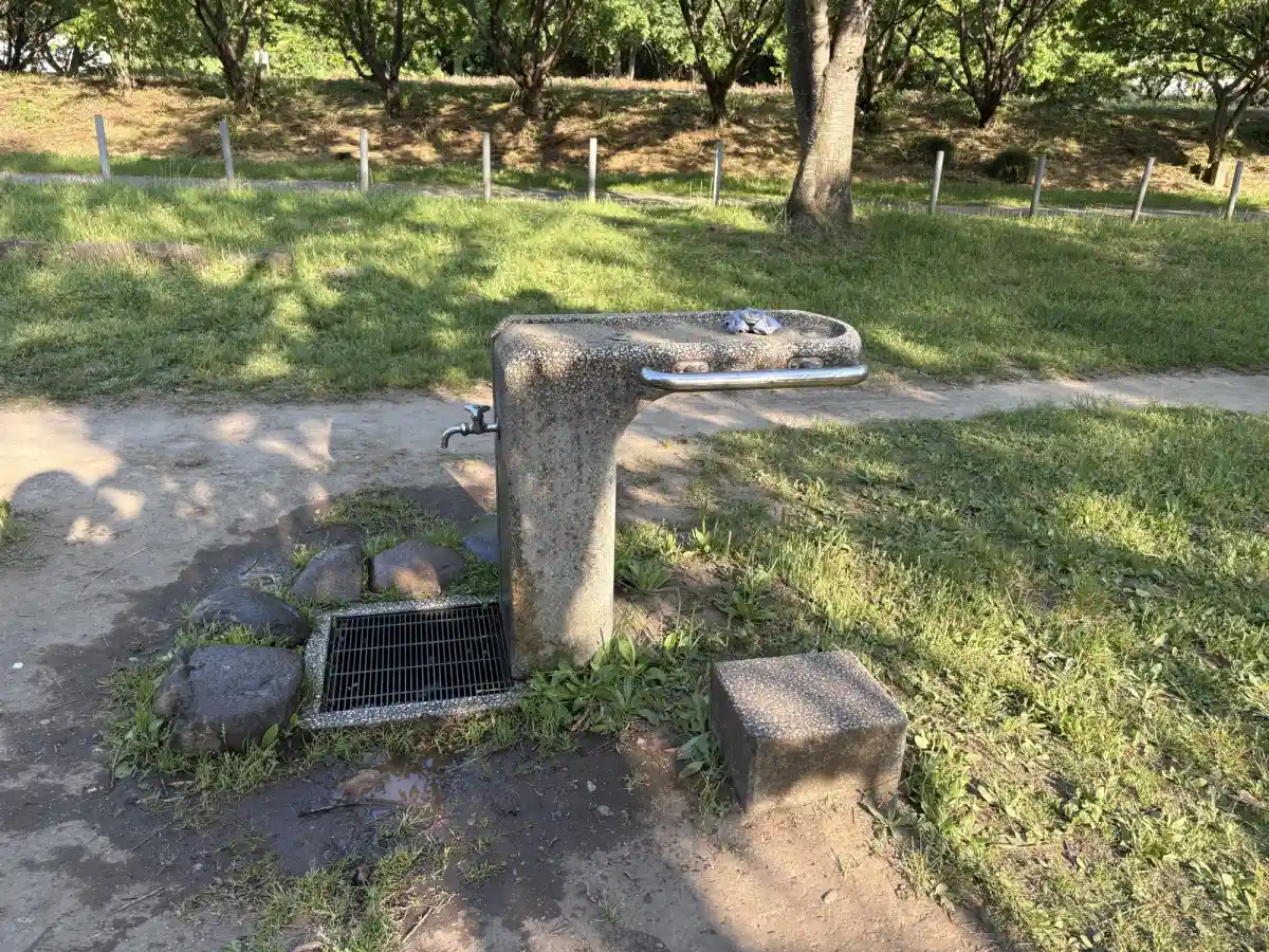 水道