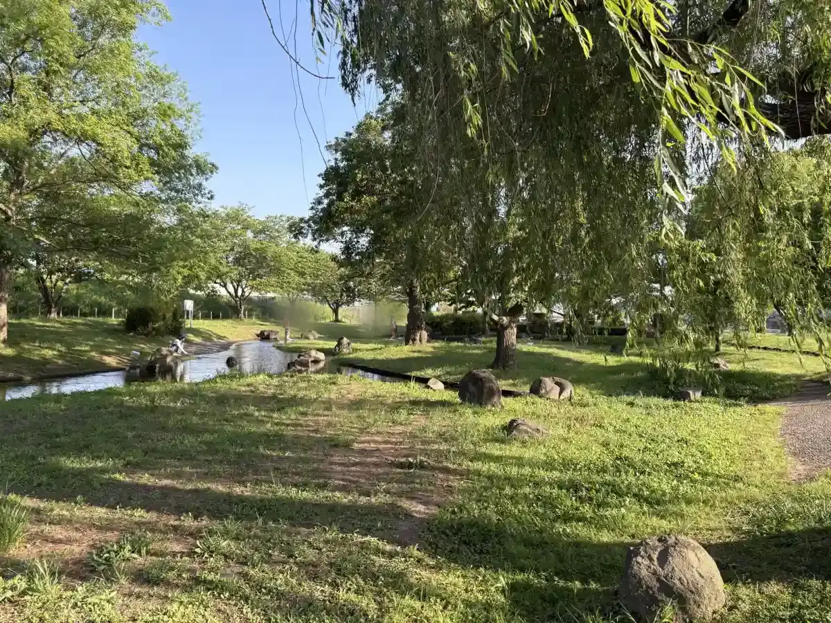 しだれ柳のある景色