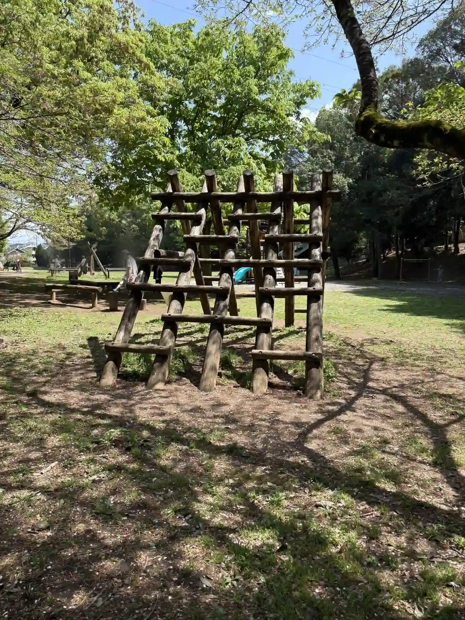あみだ丸太越え