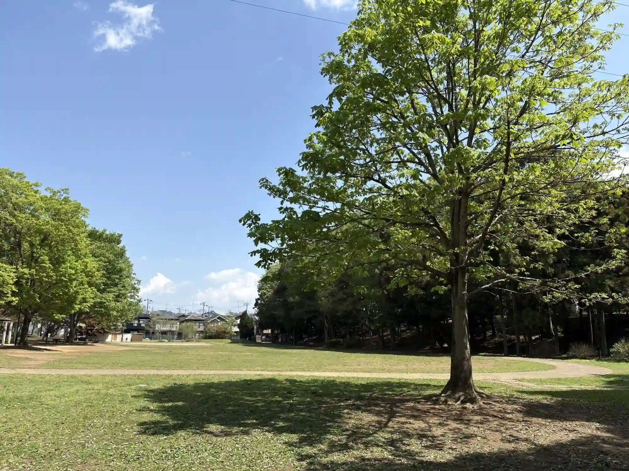 広場