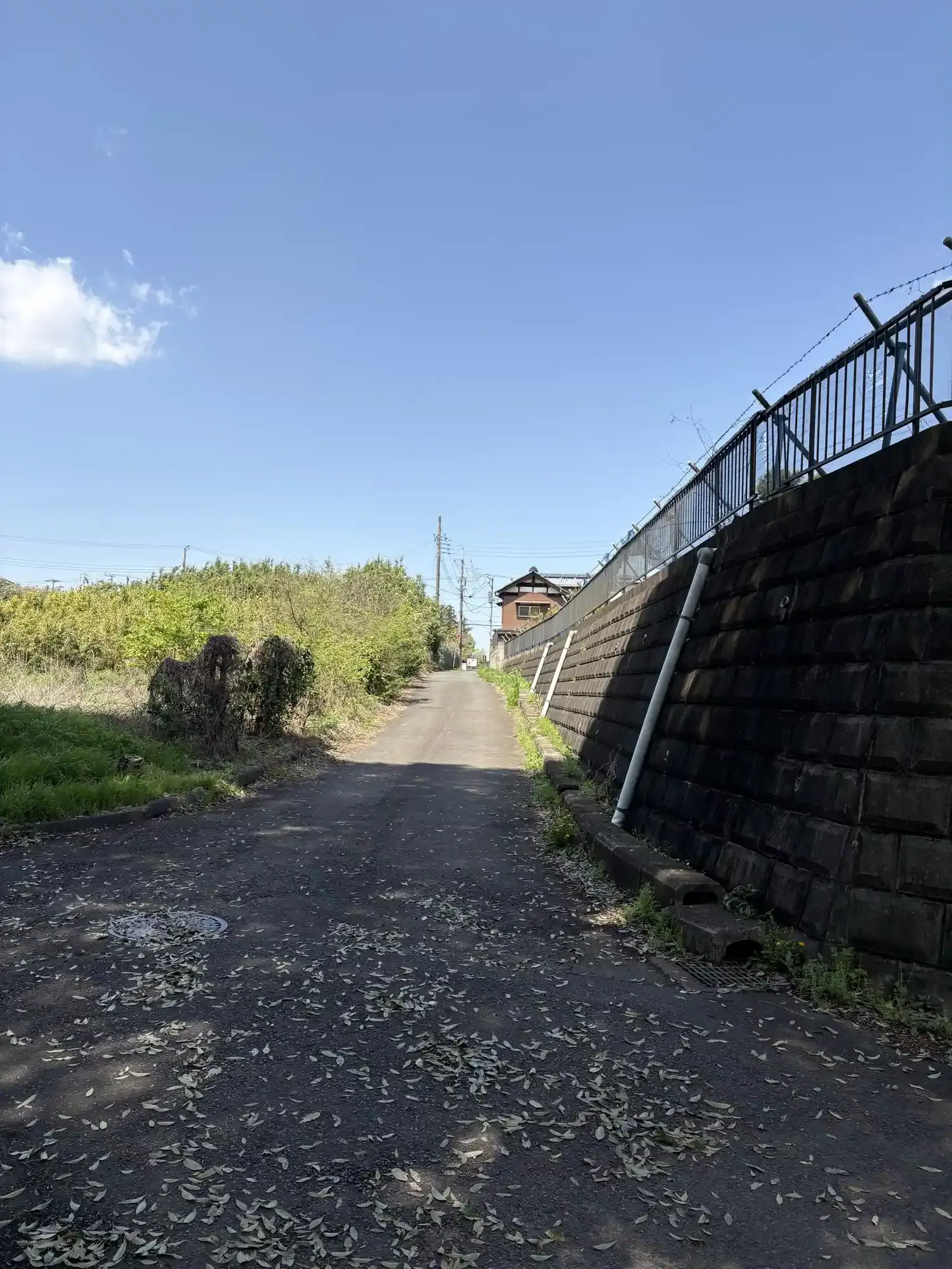 駐車場から見た公園に向かう道