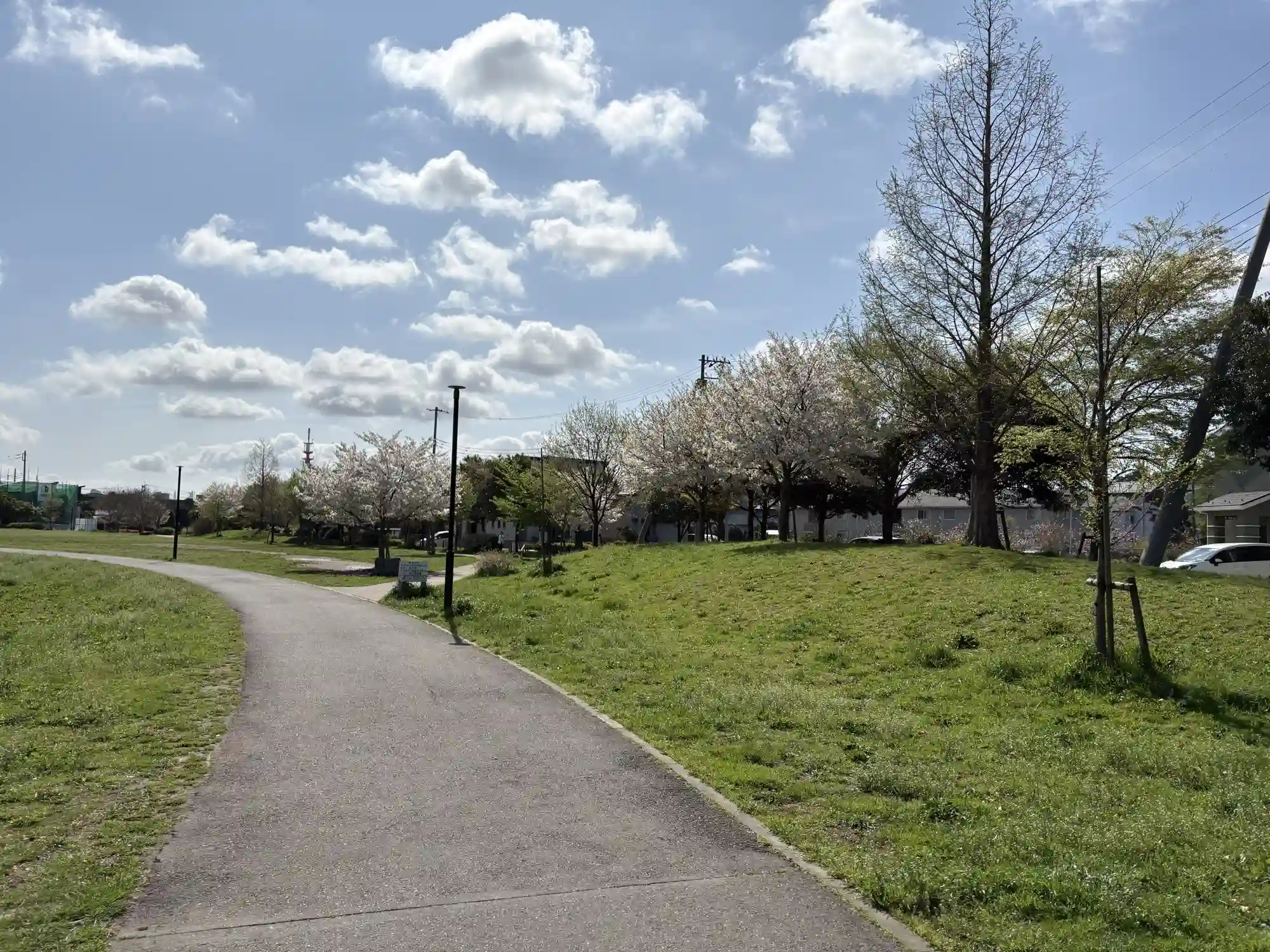公園内の丘