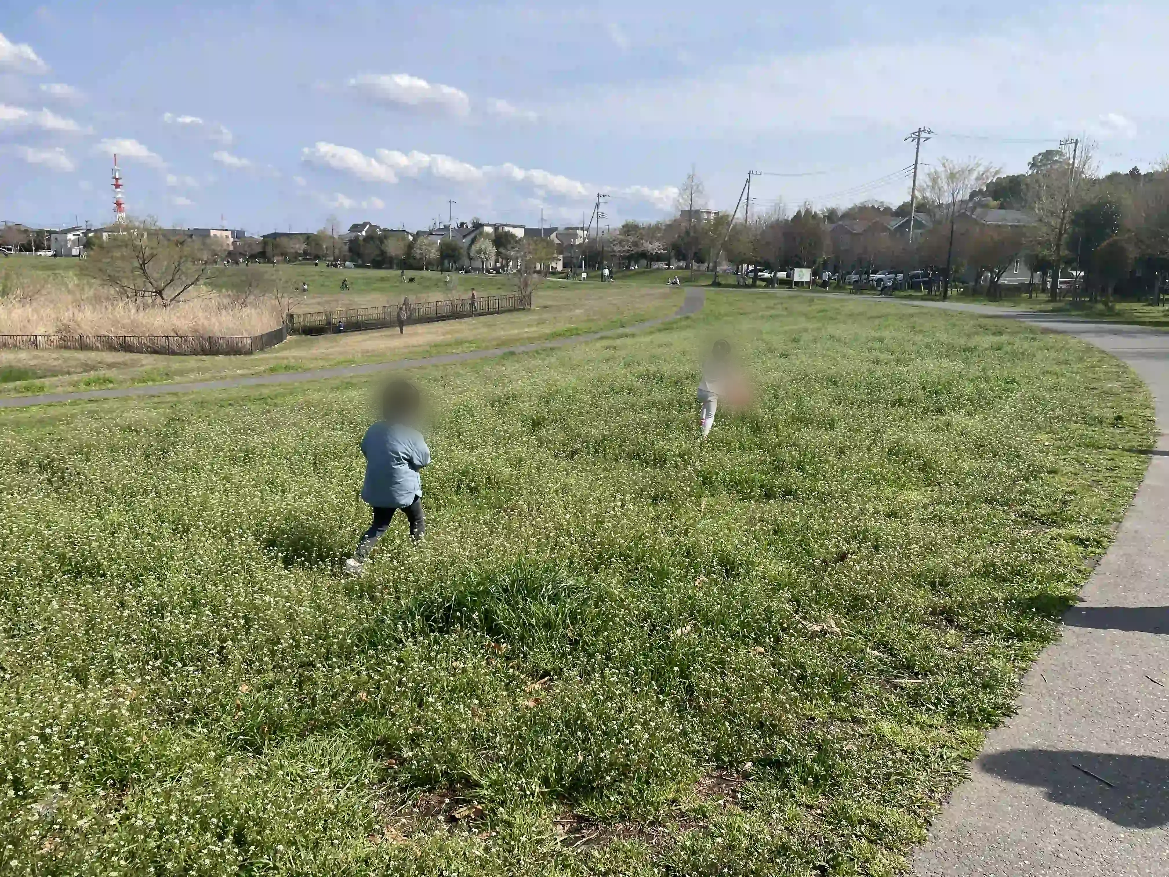 広い芝生をかける子どもたち