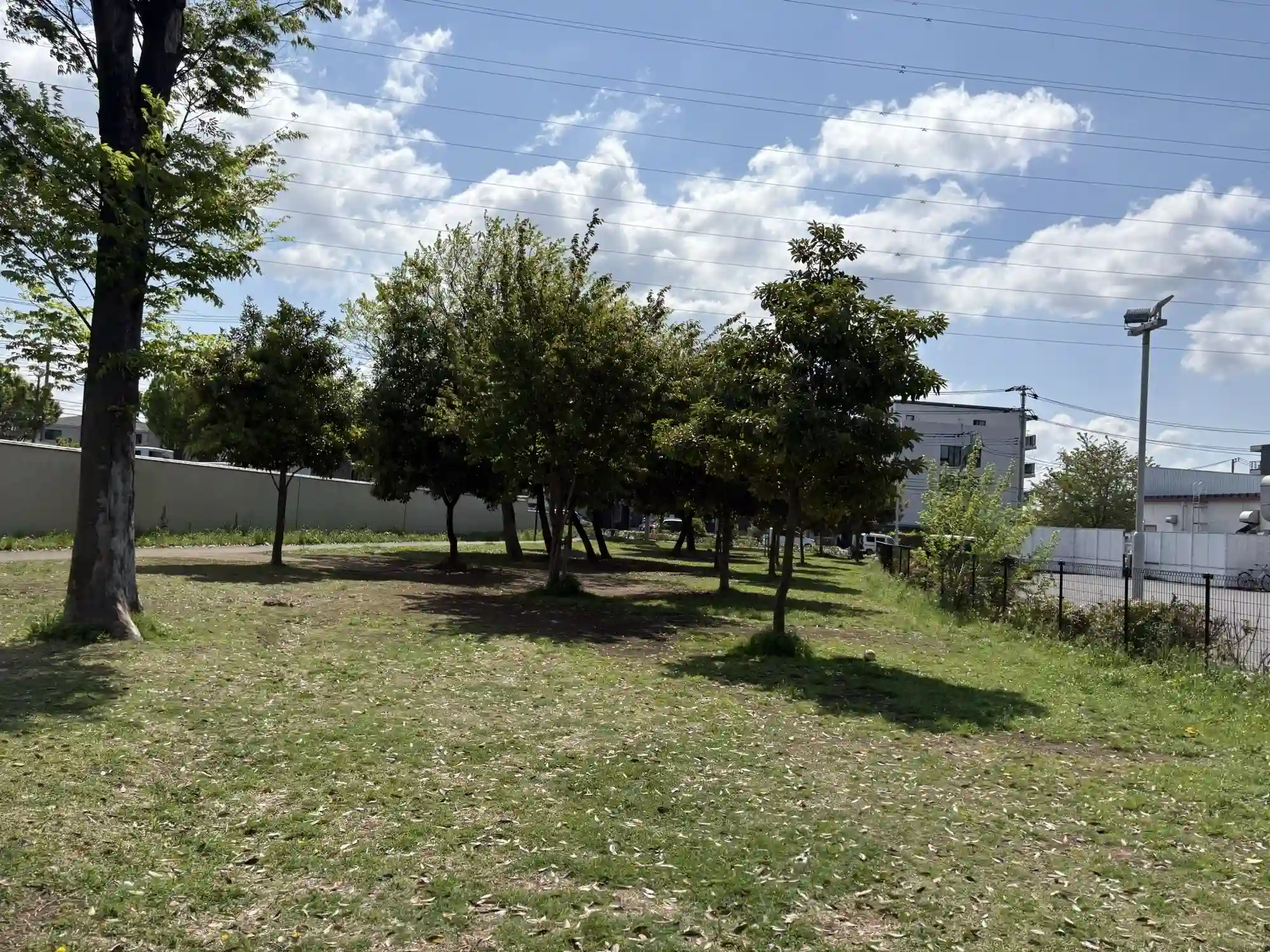 マルエツ側から見る広場
