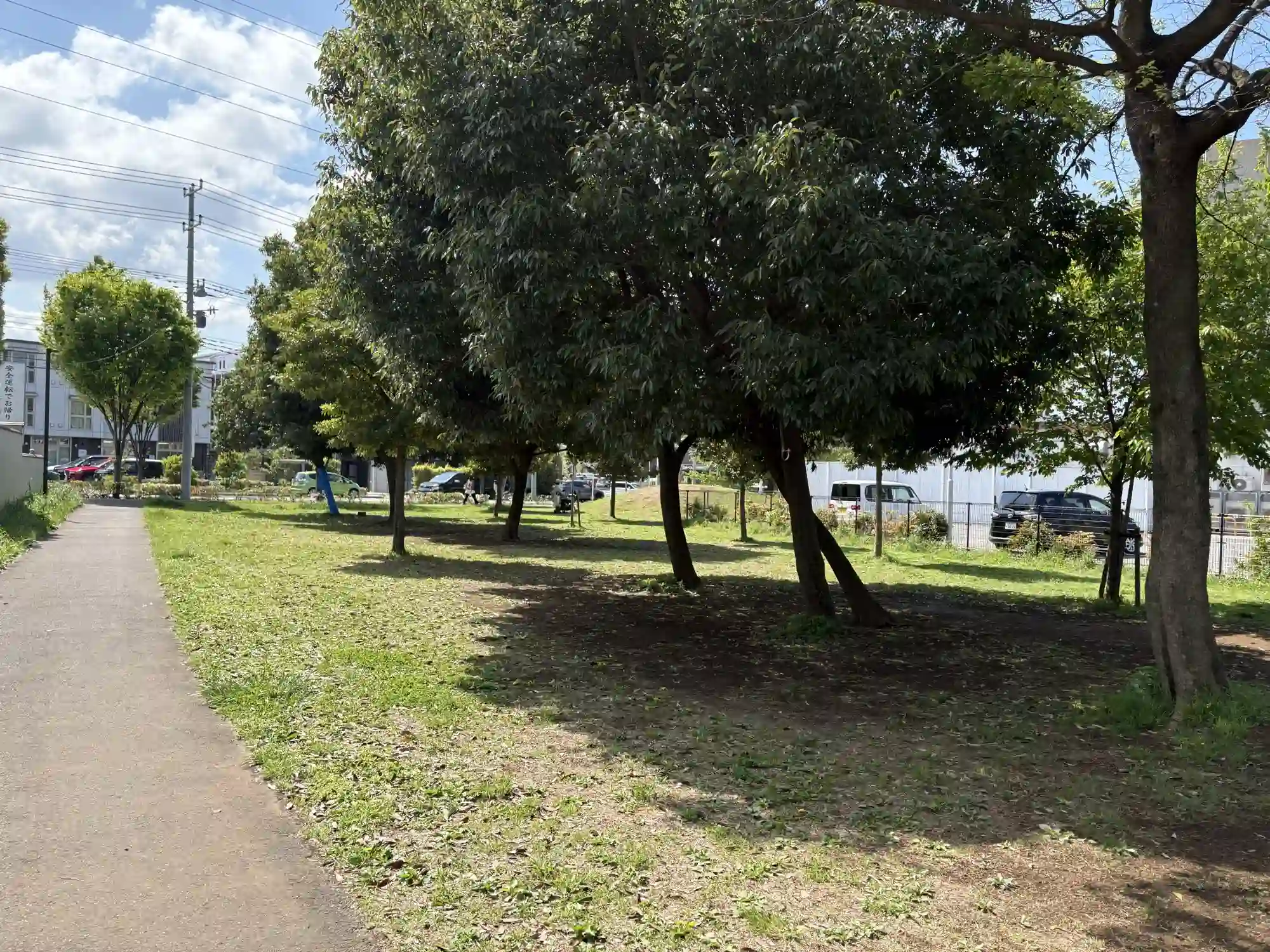 広場内の遊歩道
