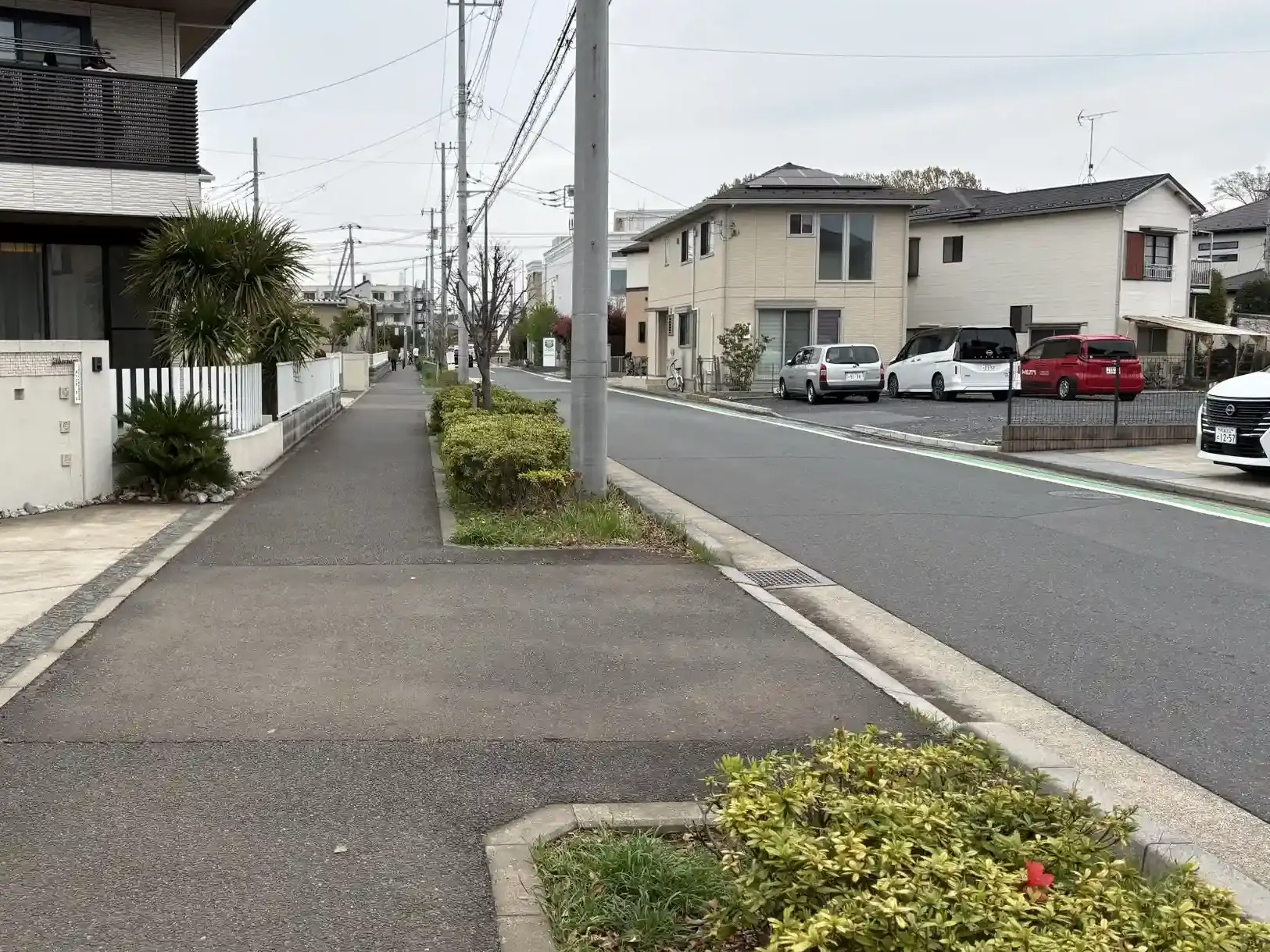 公園周辺の道路