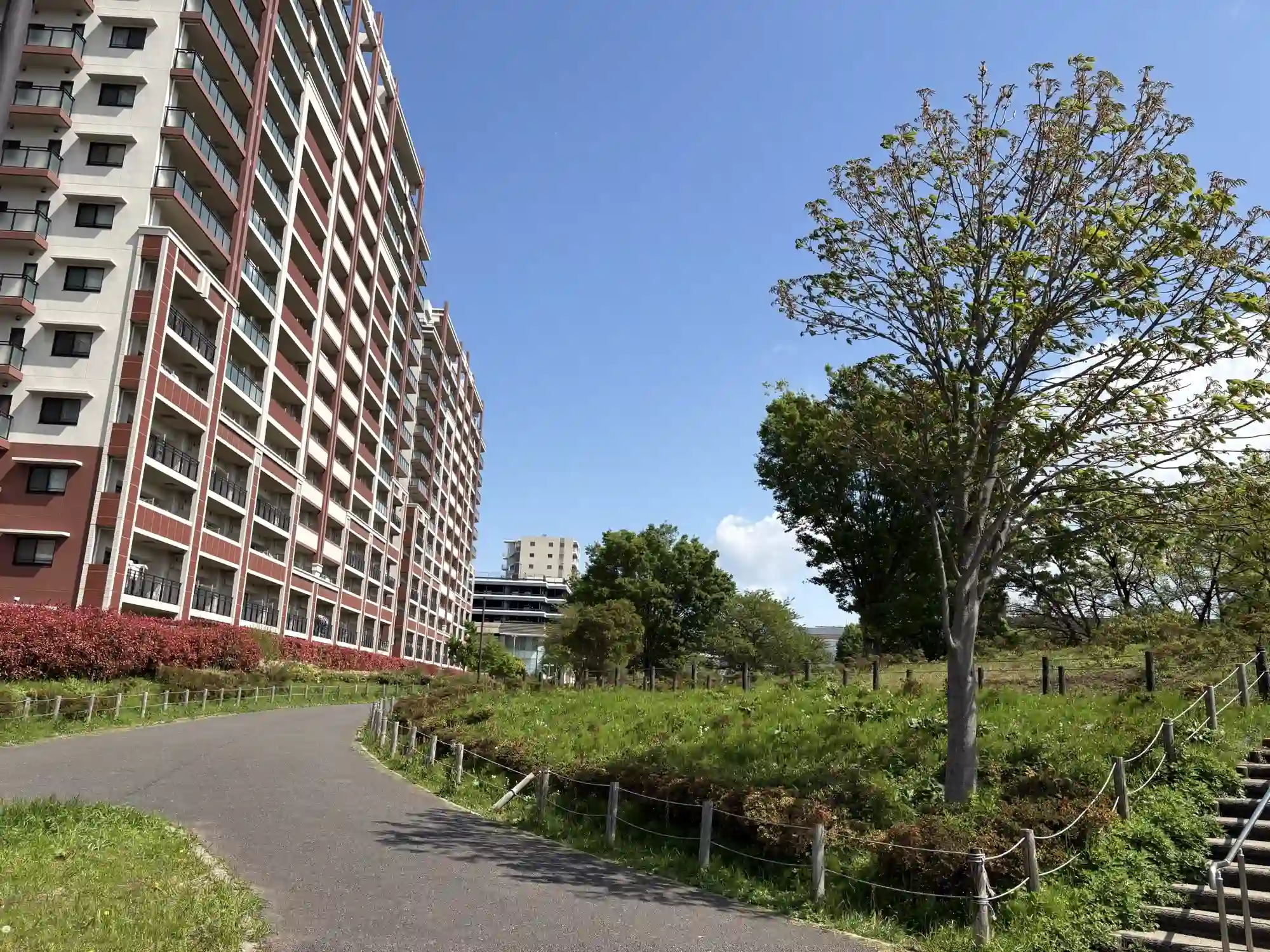 マンションと公園が一体になった景色