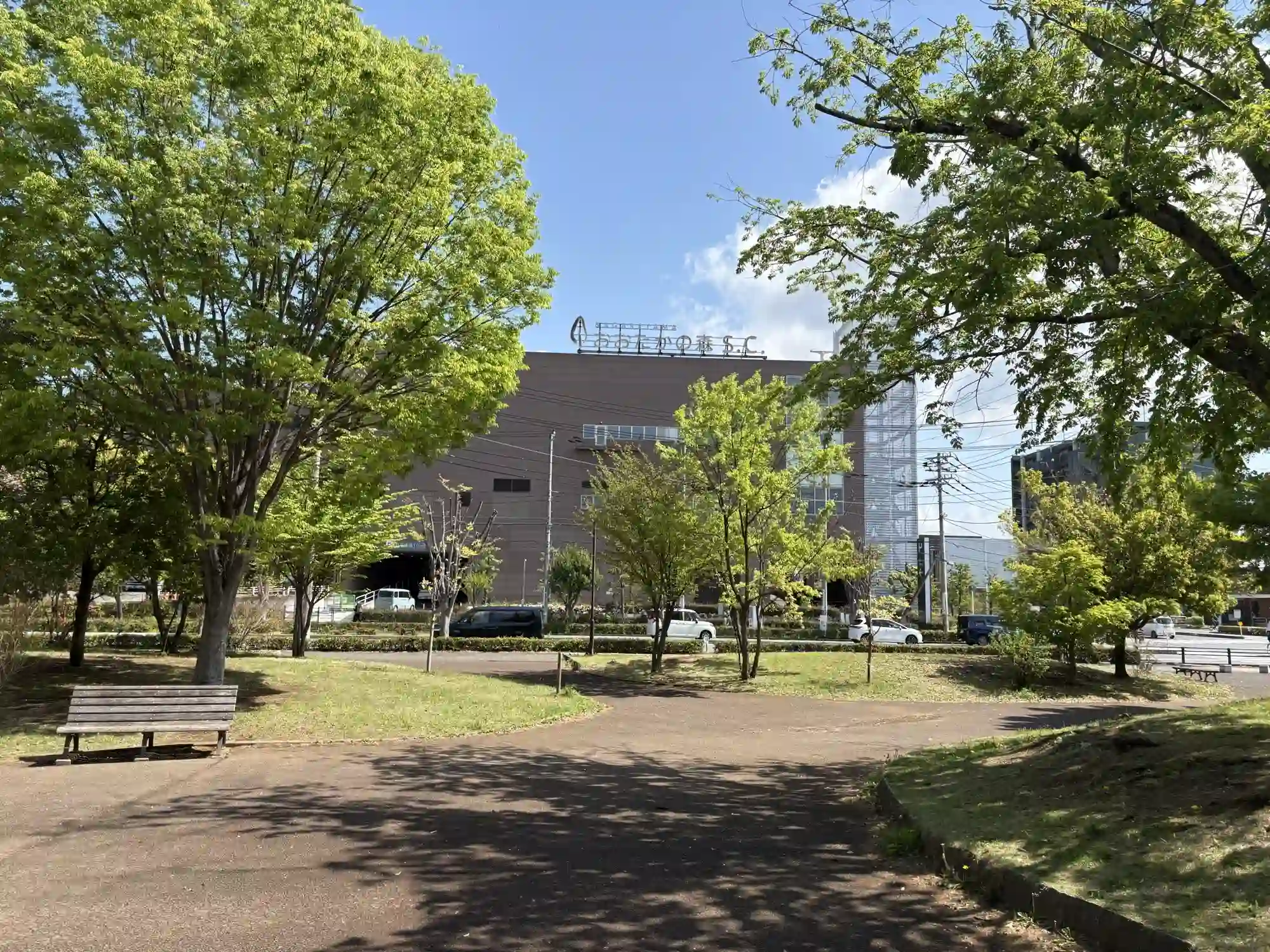 流山おおたかの森S・Cが見える公園の景色