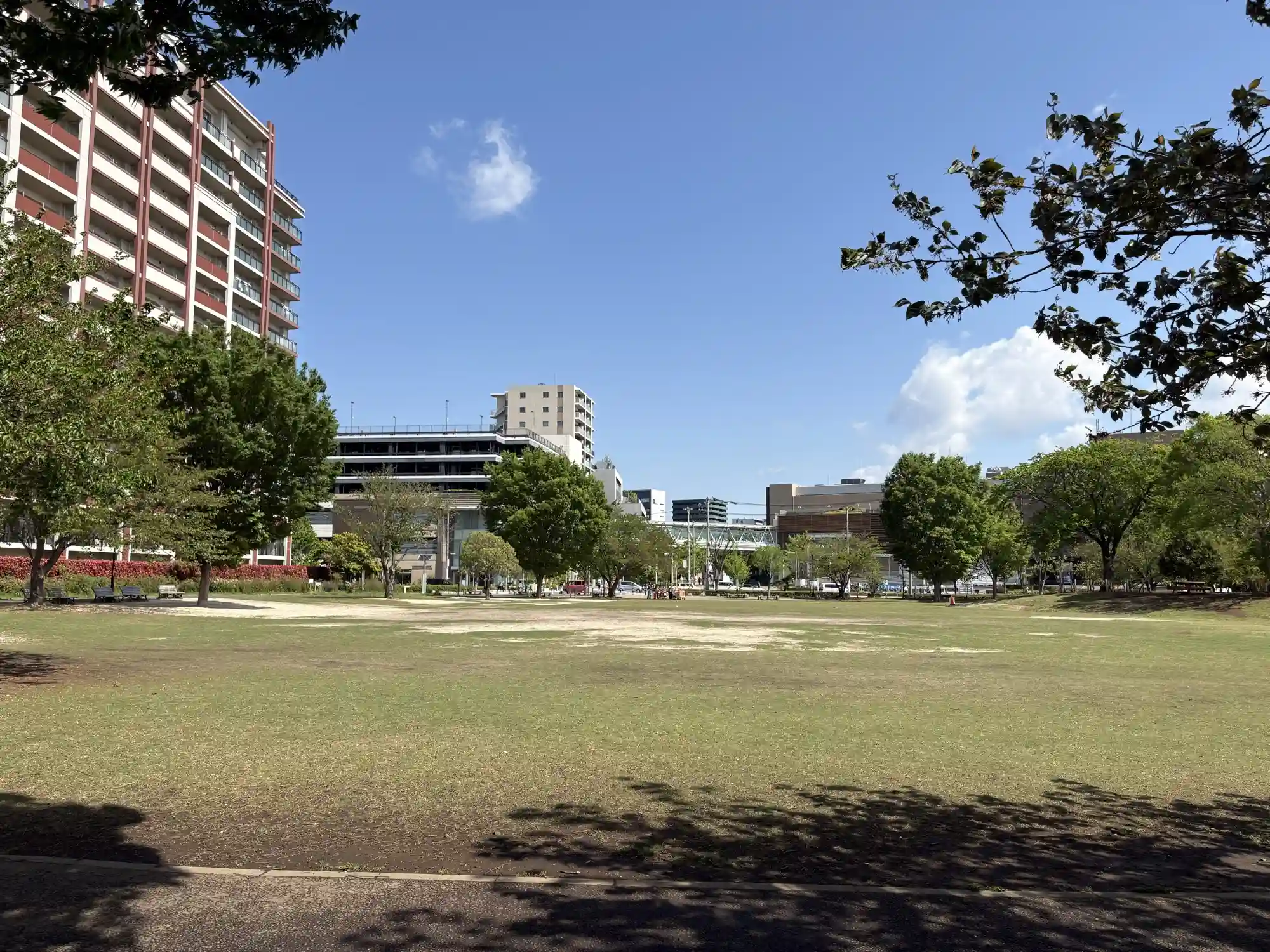 公園入口付近から見た広場