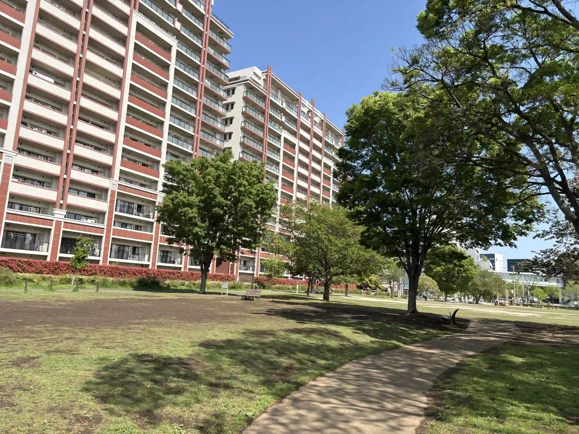 園内の遊歩道