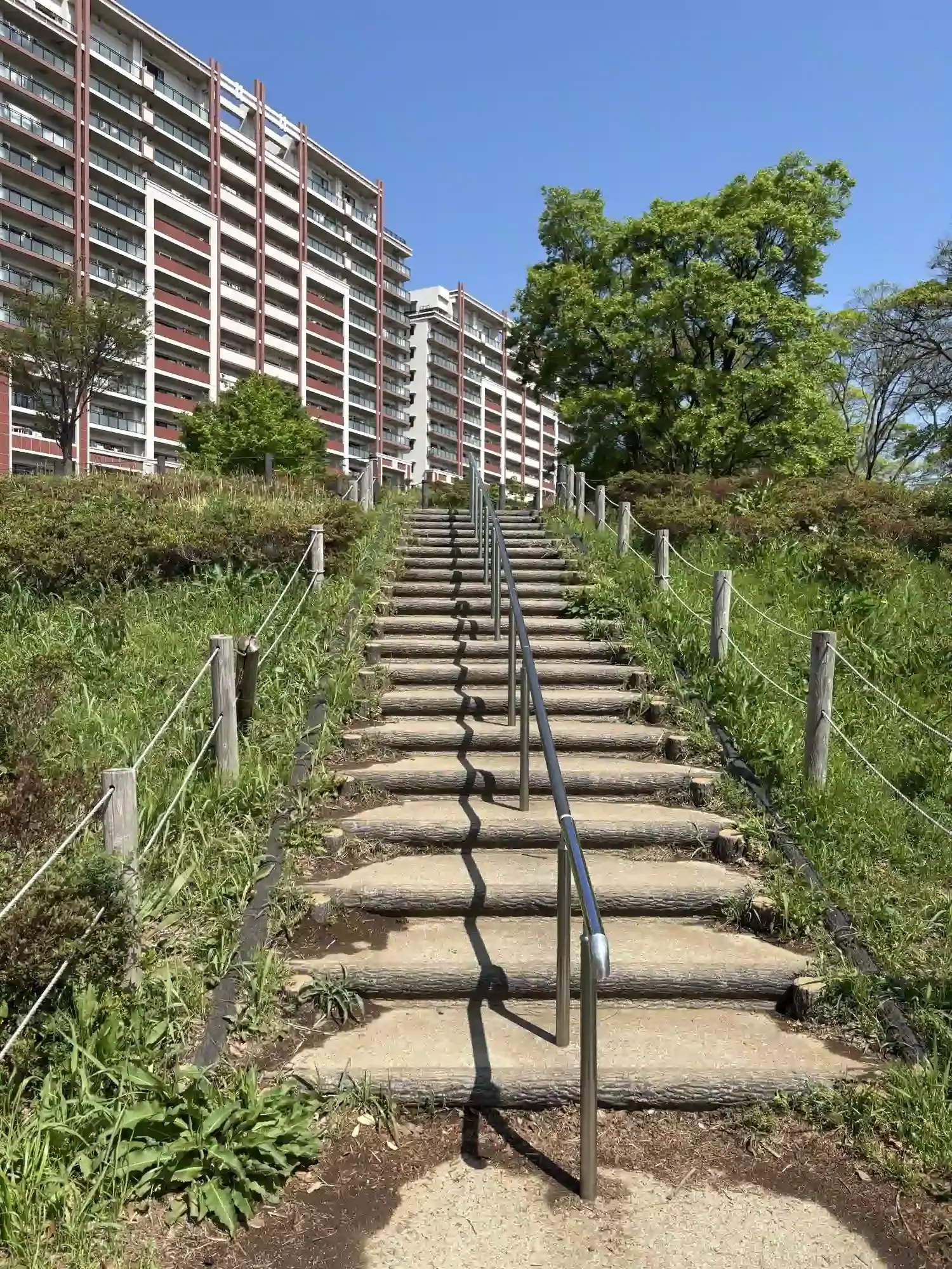 公園へ続く階段