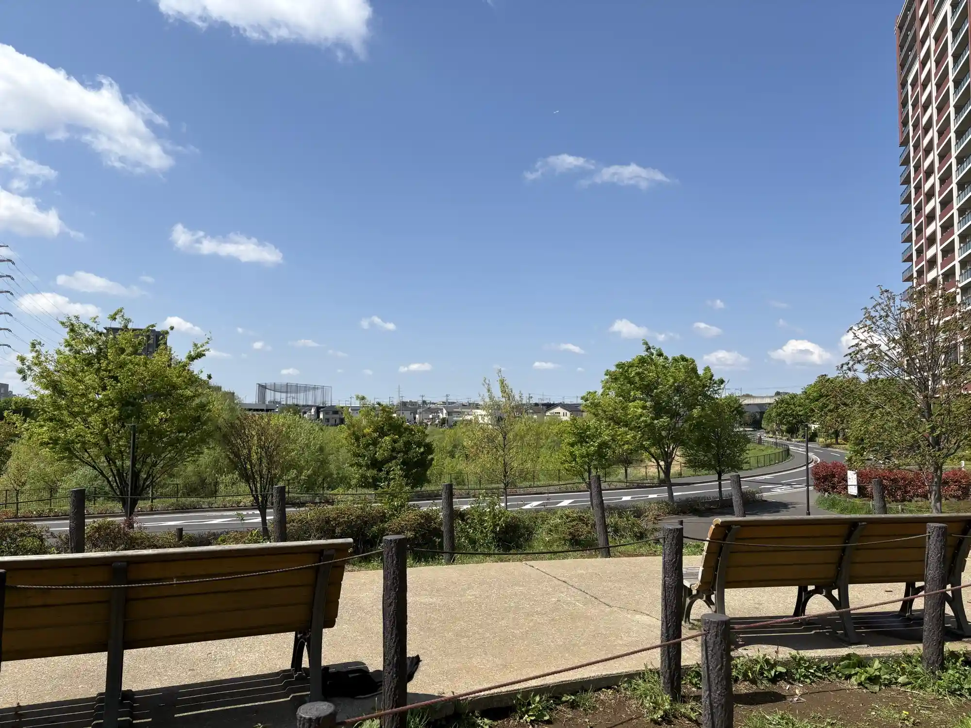 公園内の丘から見える景色