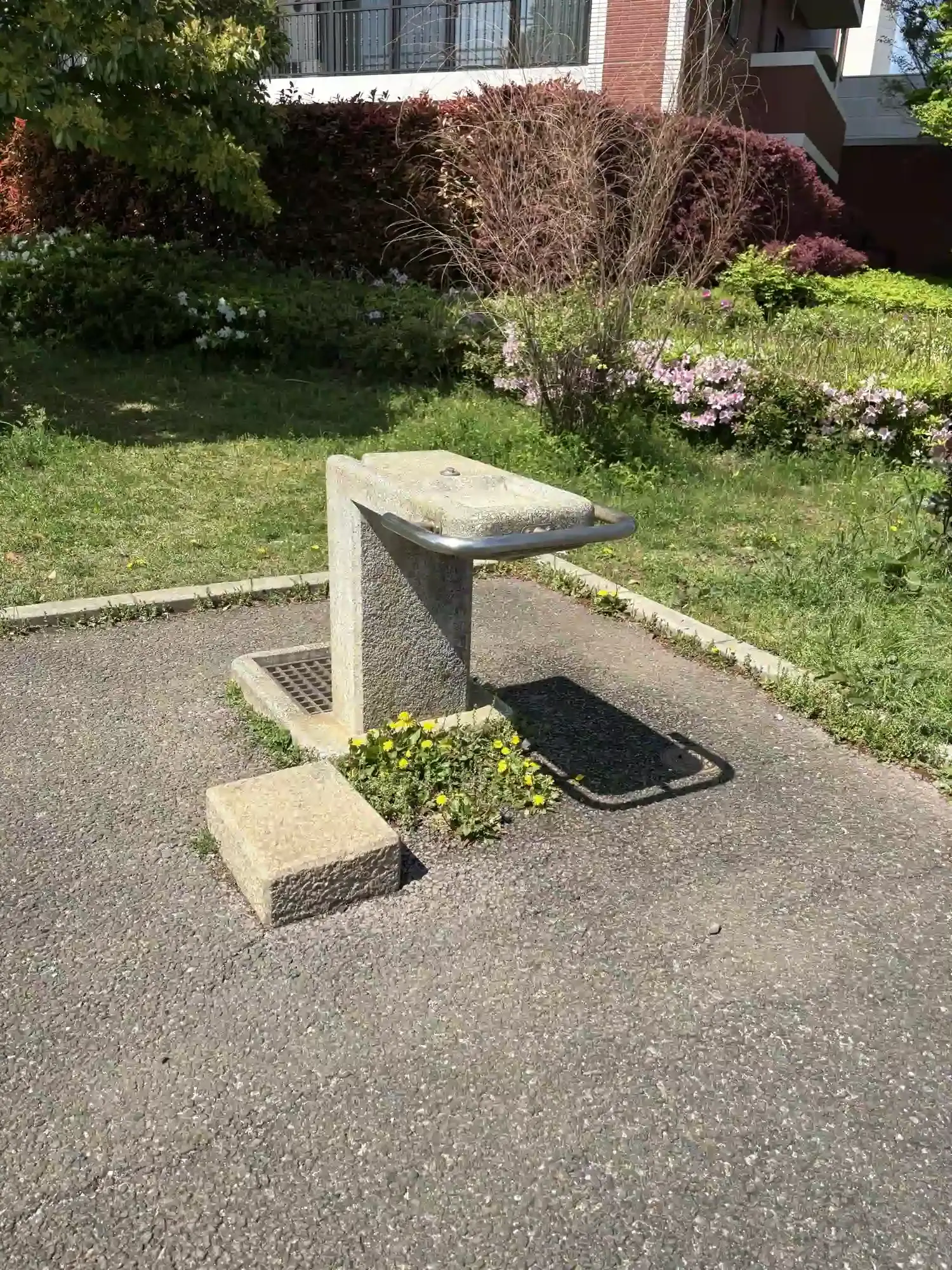 公園内の水道