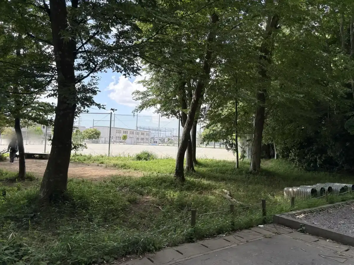 広場奥側から見た木々